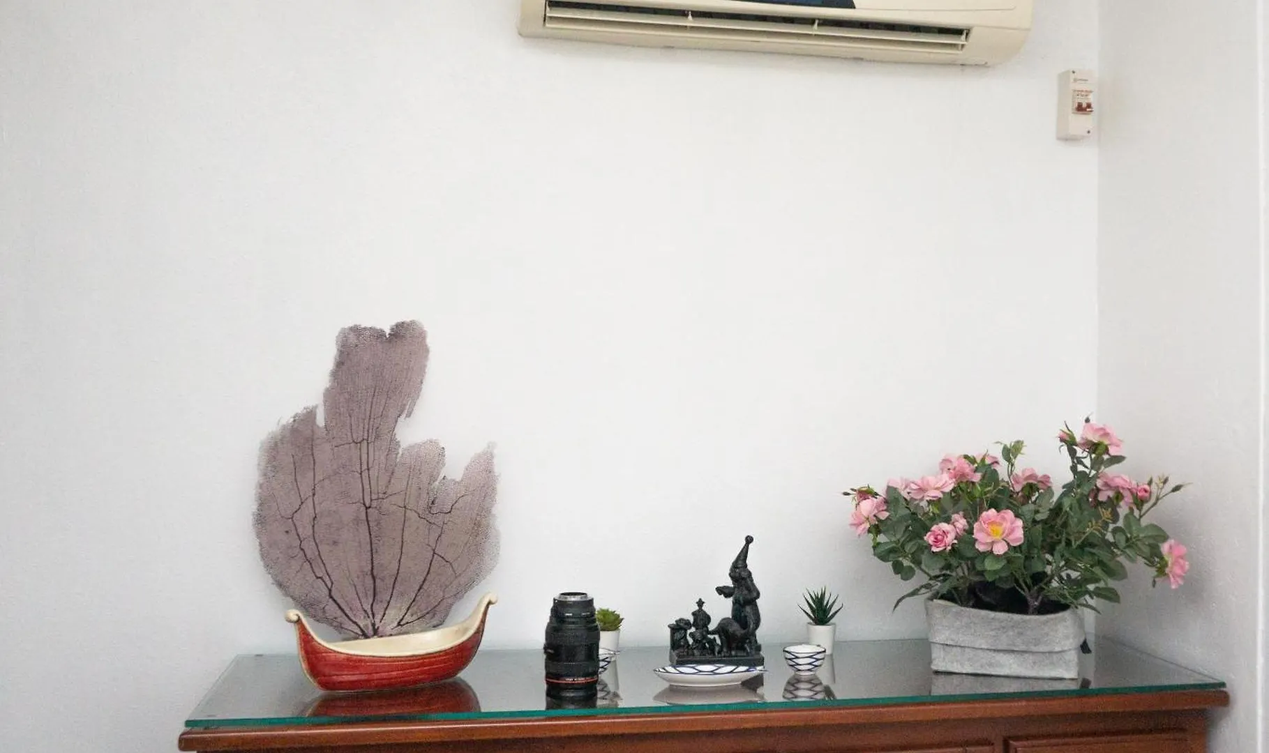 Villa Rosa 博卡奇卡